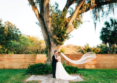 Bride and groom kissing beneath a moss-draped oak, veil billowing in the breeze