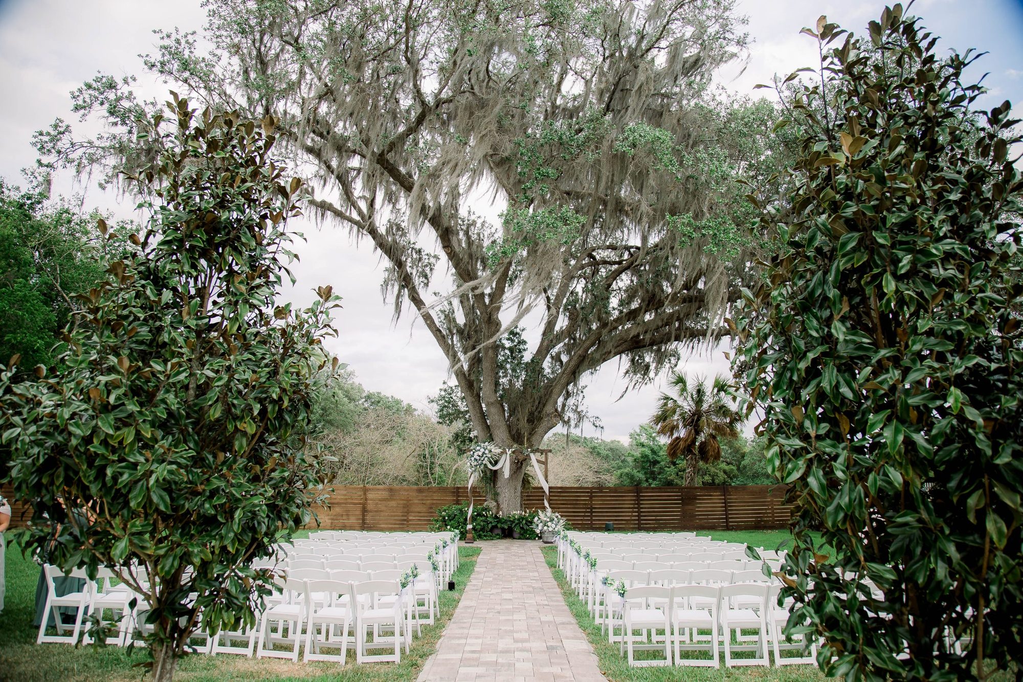 Ceremony beneath the 60+ year-old live oak at Idlewood in Bartow, Florida